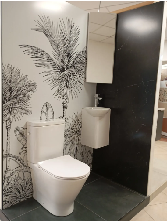 Wc et Cabinet de toilettes